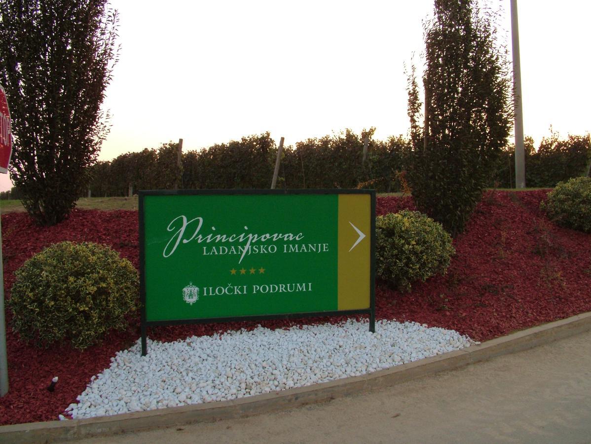 伊洛克Ladanjsko Imanje Principovac住宿加早餐旅馆 外观 照片