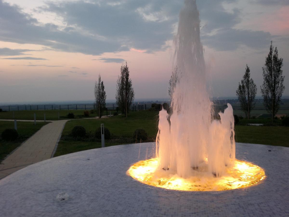 伊洛克Ladanjsko Imanje Principovac住宿加早餐旅馆 外观 照片